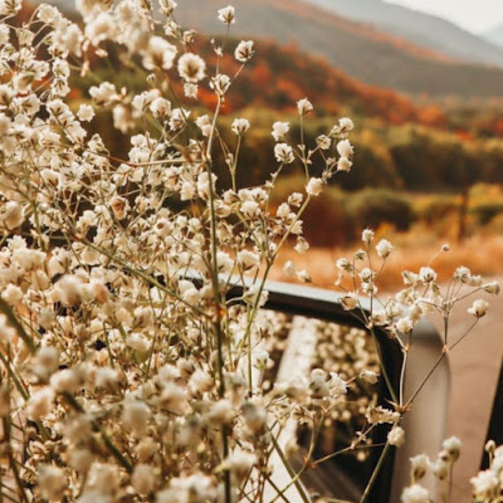 Meet your Posher, Quincy